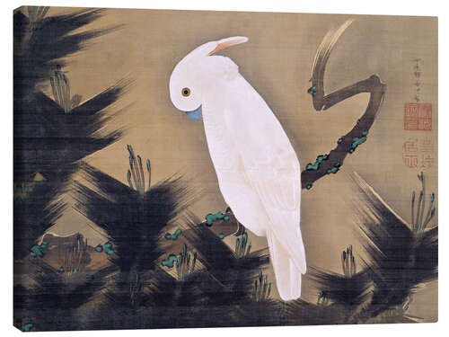 Canvas-taulu White cockatoo on a pine branch