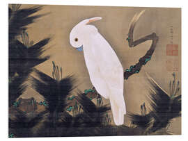 Foam board print White Cockatoo on a Pine Branch