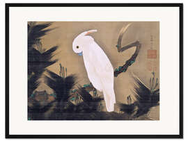 Gerahmter Kunstdruck Weißer Kakadu auf einem Kiefernzweig