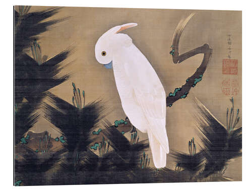 Gallery print White Cockatoo on a Pine Branch