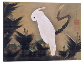 Magnettafel Weißer Kakadu auf einem Kiefernzweig