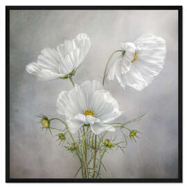 Gerahmter Kunstdruck Kosmos-Charme