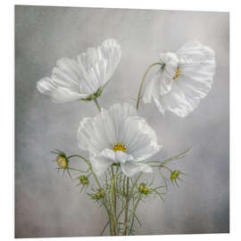 Foam board print Cosmos Charm