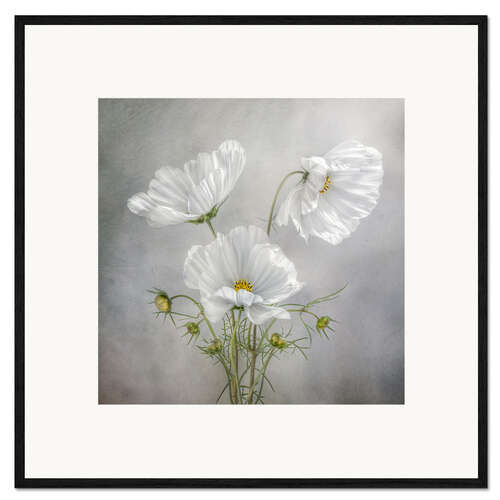 Framed art print Cosmos Charm