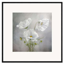 Framed art print Cosmos Charm