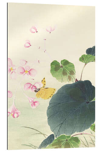 Galleriprint Begonia and butterfly