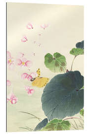 Gallery print Begonia i motyl