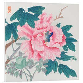 Magnettafel Pfingstrose und Schmetterling