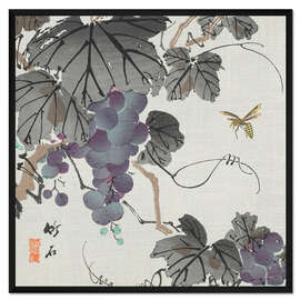 Gerahmter Kunstdruck Weintrauben