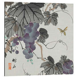 Magnettafel Weintrauben