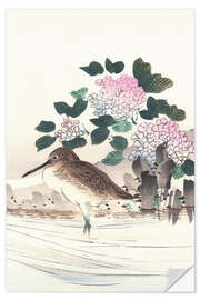 Självhäftande poster Water bird and hydrangea