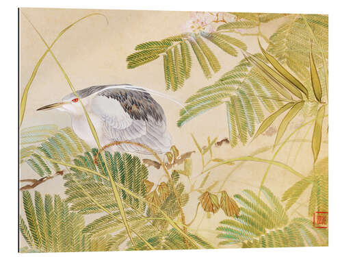 Galleriprint Japanese mimosa tree, night heron with black crown