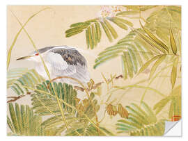 Wall sticker Japanese mimosa tree, night heron with black crown