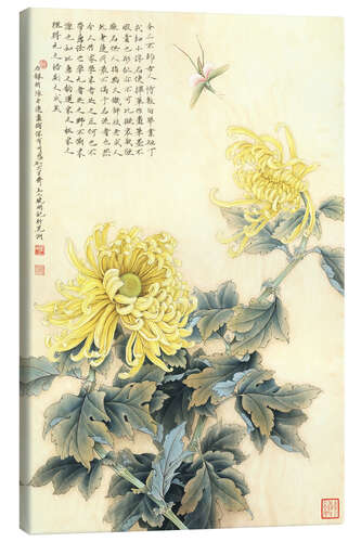 Canvas print Chrysanthemum