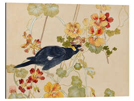 Magnettafel Indische Kresse &amp; Myna