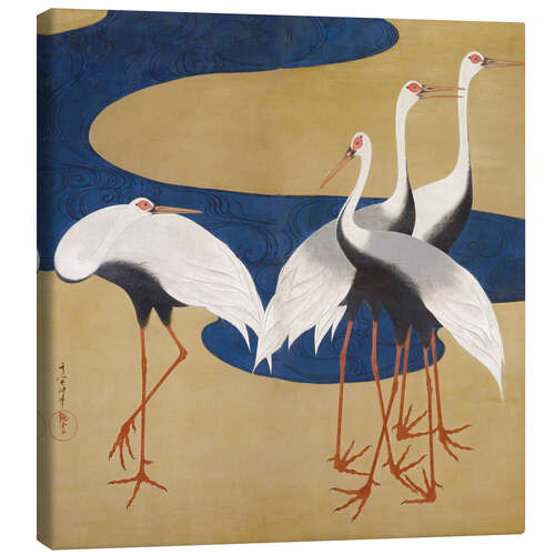 Canvas print Cranes