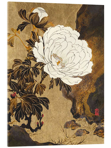 Acrylic print Peonies