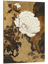 Magnettafel Pfingstrosen