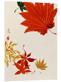 Foam board print Maple leaves