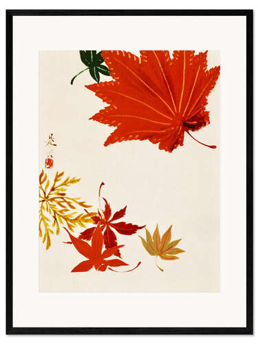 Framed art print Maple leaves