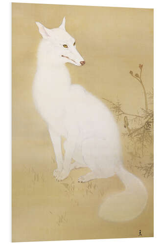 Foam board print White fox