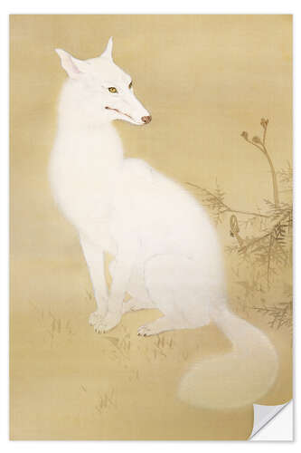 Selvklebende plakat White fox