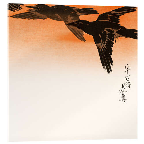 Acrylic print Crows in flight in the red sunset sky