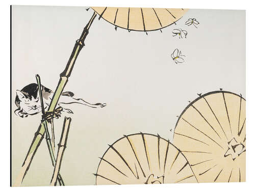 Aluminiumtavla Bamboo, umbrellas, a cat and butterflies