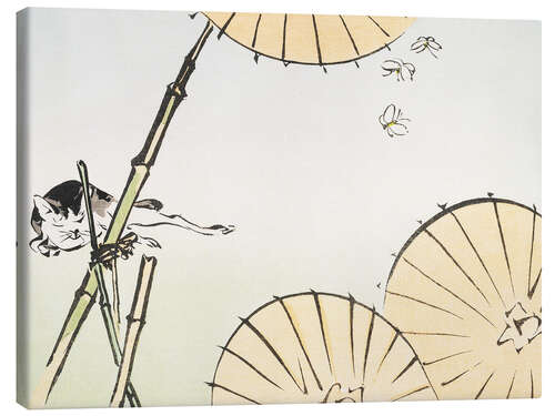 Canvas print Bamboo, umbrellas, a cat and butterflies