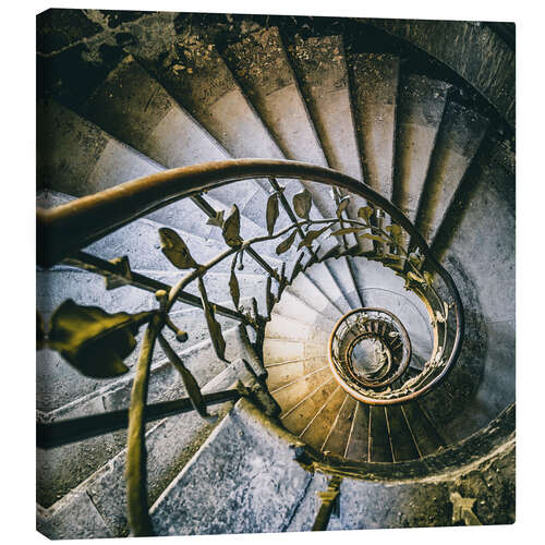 Canvas print Spiral stairacse in a derelict hotel