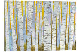 Tableau en plexi-alu Bosquet de trembles