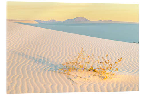 Acrylic print Sand dunes at sunrise