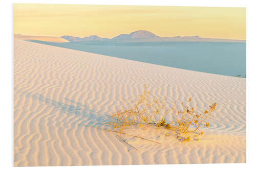 PVC print Sand dunes at sunrise