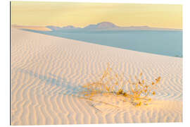 Gallery print Sand dunes at sunrise