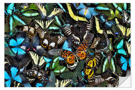 Selvklebende plakat Iridescent Butterflies I