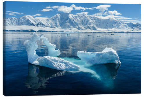 Canvas print Antarctica, Damoy Point