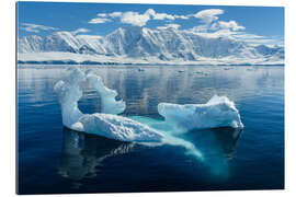 Gallery print Antarctica, Damoy Point