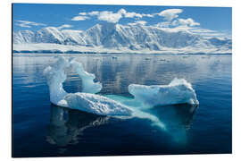 Magnettafel Antarktis, Damoy Point