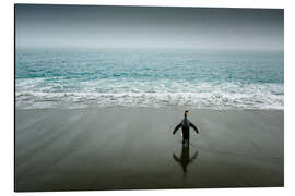 Aluminium print Lone king penguin by the sea