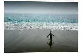 Foam board print Lone king penguin by the sea