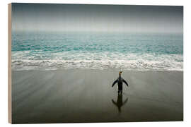 Puutaulu Lone king penguin by the sea