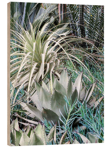 Hout print Garden with an assortment of agaves