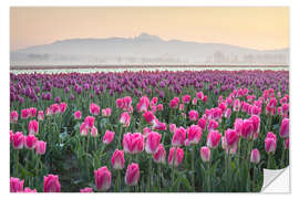 Autocolante decorativo Nascer do sol sobre os campos de tulipas