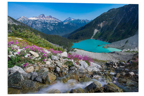 Print på skumplade Wildflowers in the Canadian Mountains