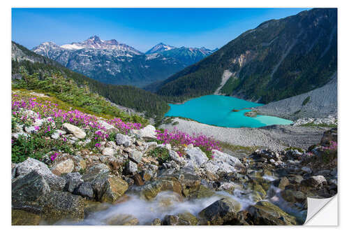 Selvklæbende plakat Wildflowers in the Canadian Mountains