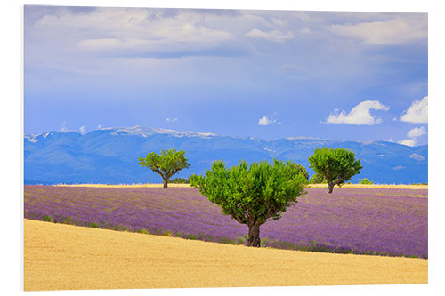 PVC-taulu Valensole plateau