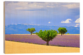 Quadro de madeira Planalto de Valensole