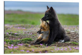 Magnettafel Fuchswelpen