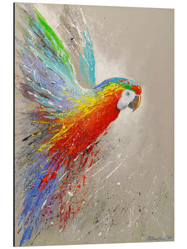 Aluminium print Parrot in flight