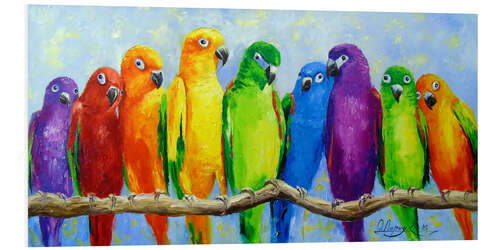 PVC-taulu Parrot friends